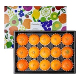 천혜향 & 레드향세트5kg