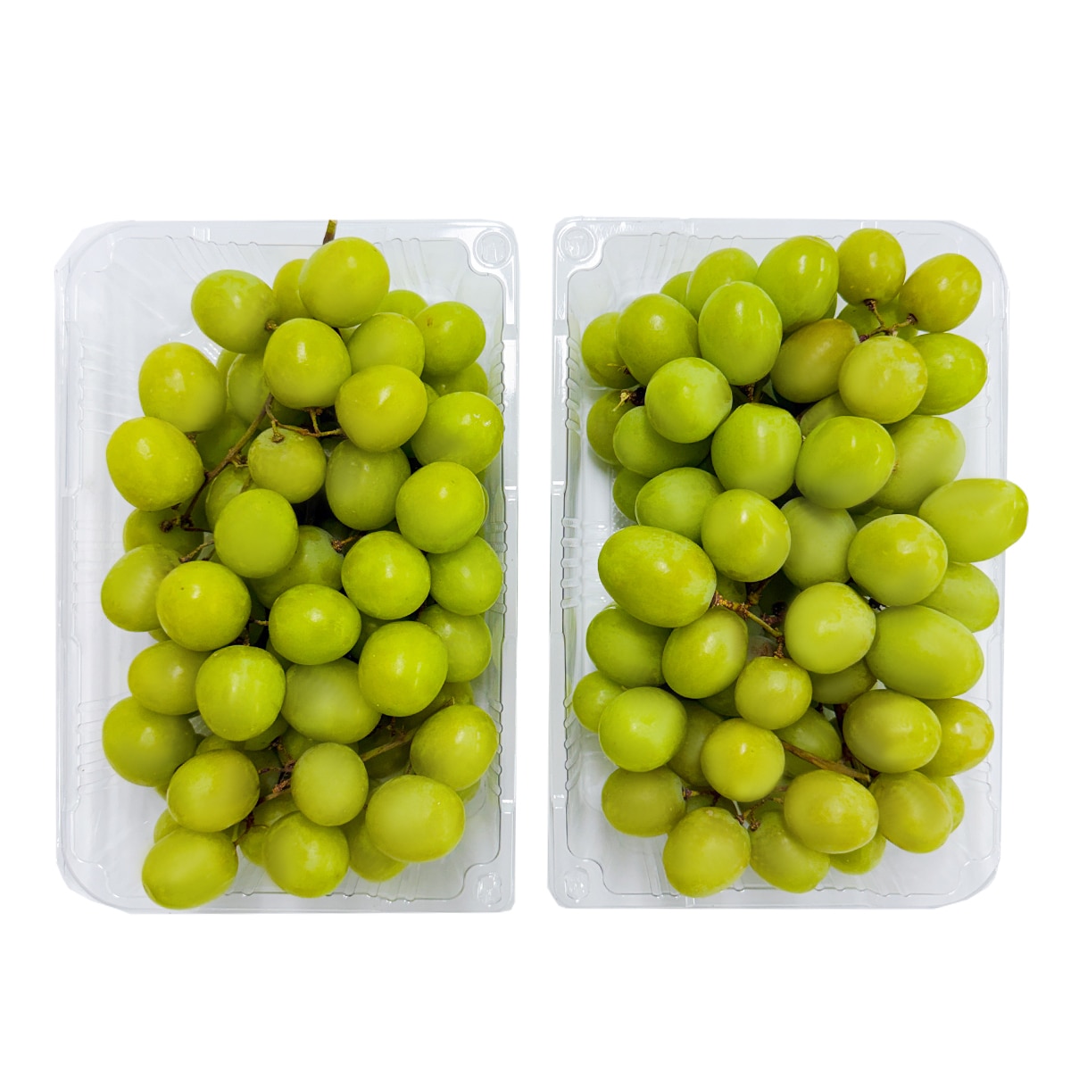 씨없는 청포도 2kg 씨없는 청포도 2kg