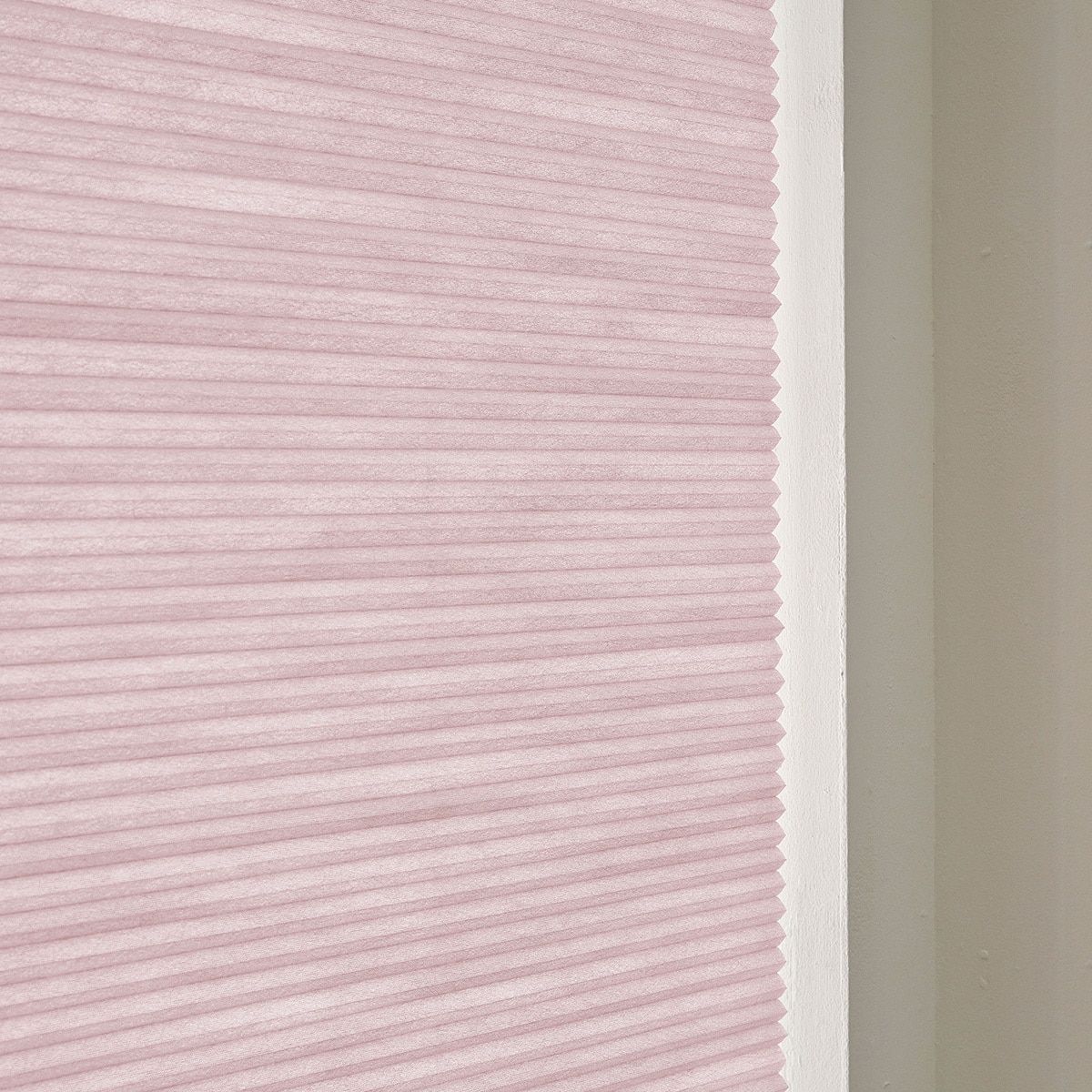 허니콤 블라인드 155 x 240cm-인디안 핑크