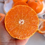 제주 천혜향 선물세트 3kg 9~12입