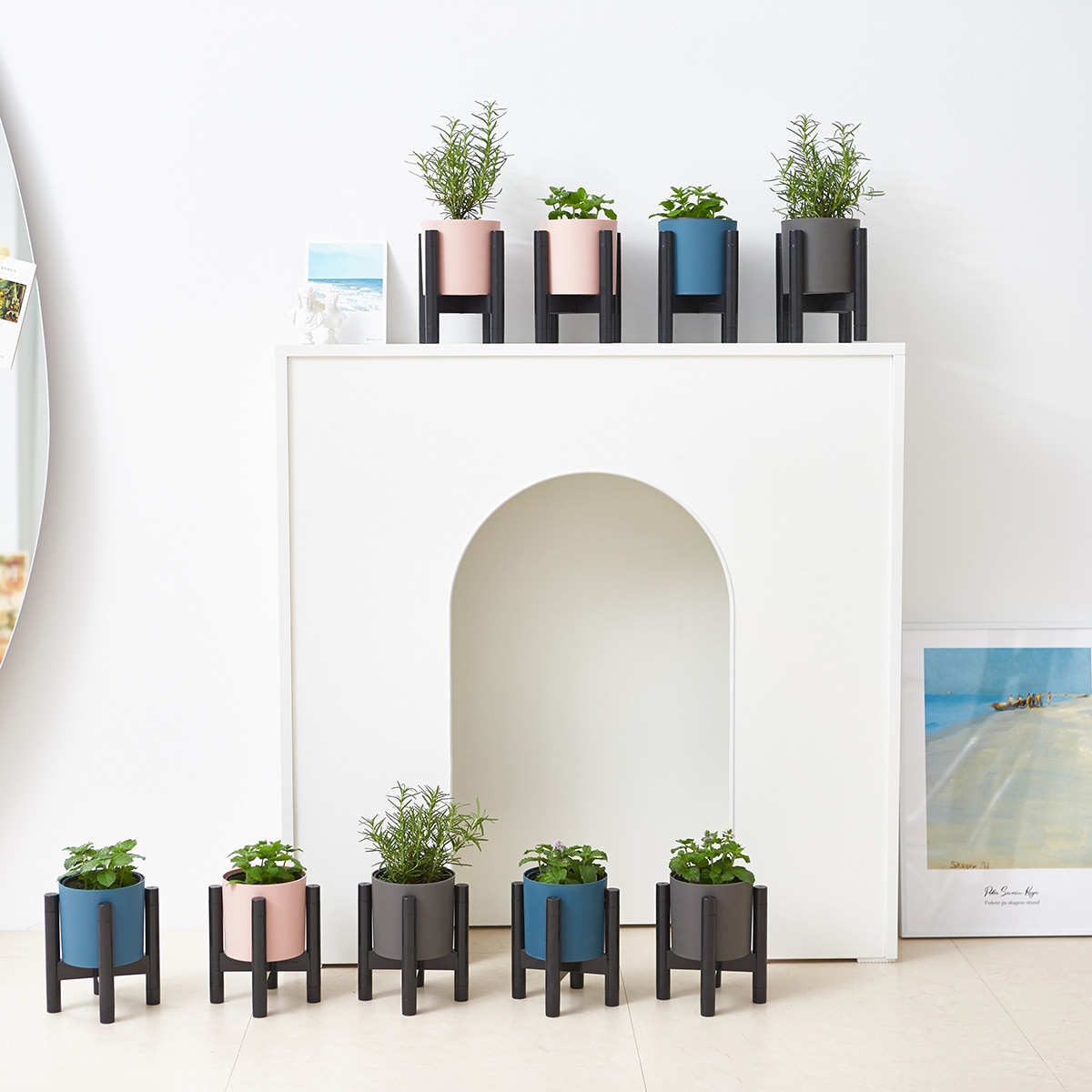 허브식물 9팩 14cm & 24cm