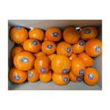 미국산 큐티 만다린 3kg