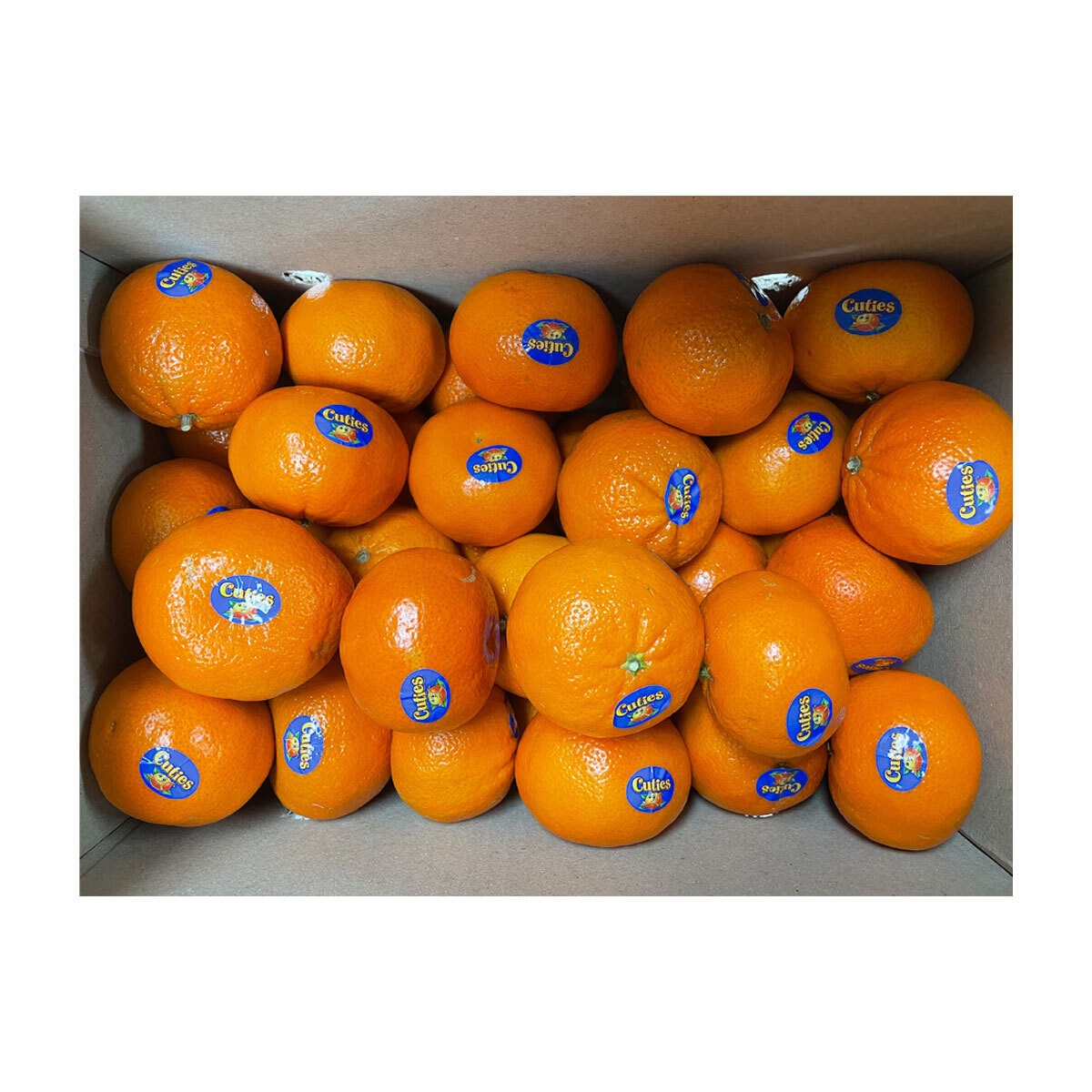미국산 큐티 만다린 3kg