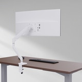 펠로우즈 플래티넘 라이트 싱글 모니터암 2개세트 펠로우즈 플래티넘 라이트 싱글 모니터암 2개세트