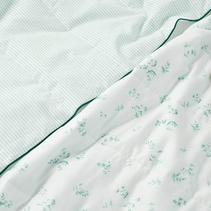 썸니아 모달 냉감 차렵 이불 - 퀸, 그리너리