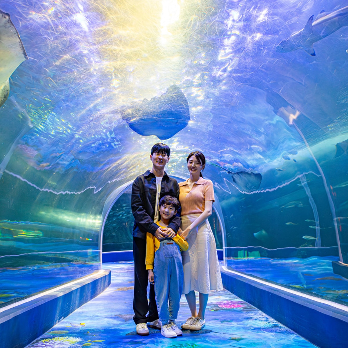 아쿠아플라넷 이용권 (여수점) 아쿠아플라넷 이용권 (여수점)