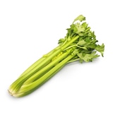 친환경 셀러리 1kg