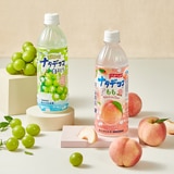 산가리아 나타드코코 복숭아 & 청포도 500ml x 12 산가리아 나타드코코 복숭아 & 청포도 500ml x 12