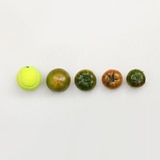 대저 토마토 5kg (2.5kg x 2 박스)