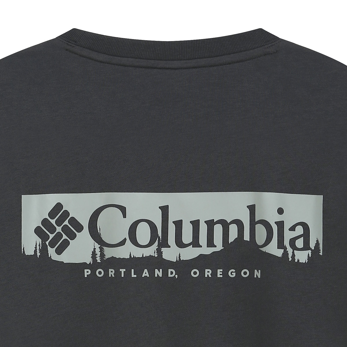 컬럼비아 남성 긴소매 플리스 크루티 - 차콜, M 컬럼비아 남성 긴소매 플리스 크루티 - 차콜, M