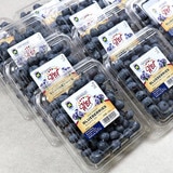 블루베리 125g x 10