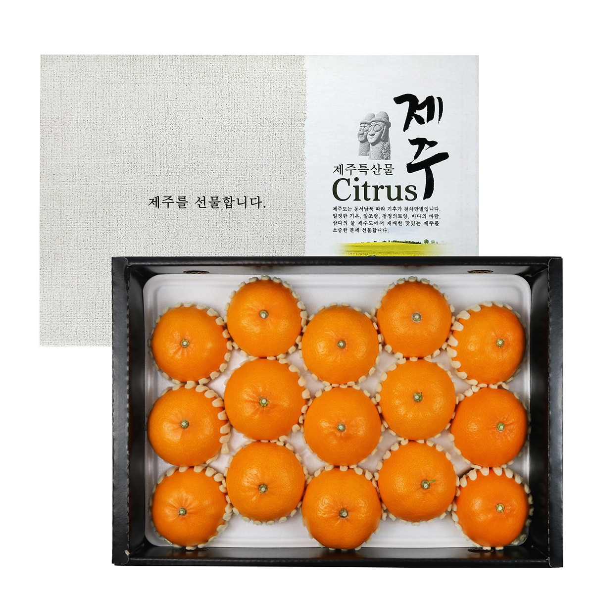 제주 천혜향선물세트 5kg(15~24입)