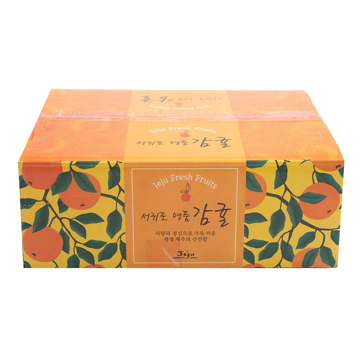 제주 노지 감귤 10kg