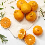 제주 명품 특선 세트5kg (15-18입)