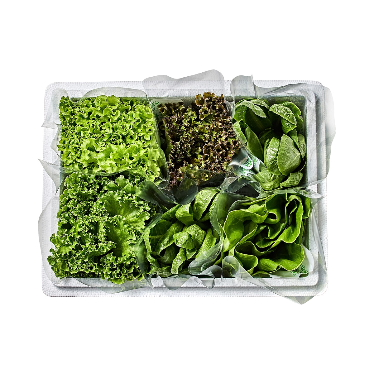 유러피언 쌈채소 5종(440g)