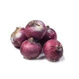 히아신스 구근 / 최소구매 2 - 잔보스 히아신스 구근 / 최소구매 2 - 잔보스