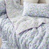 에이프릴앳홈 모달 인견 사계절 담요 120x150cm - 퍼플