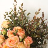 꽃다발 미니 장미 & 파블로 - (장미 - 살몬, 파블로 - 그린)