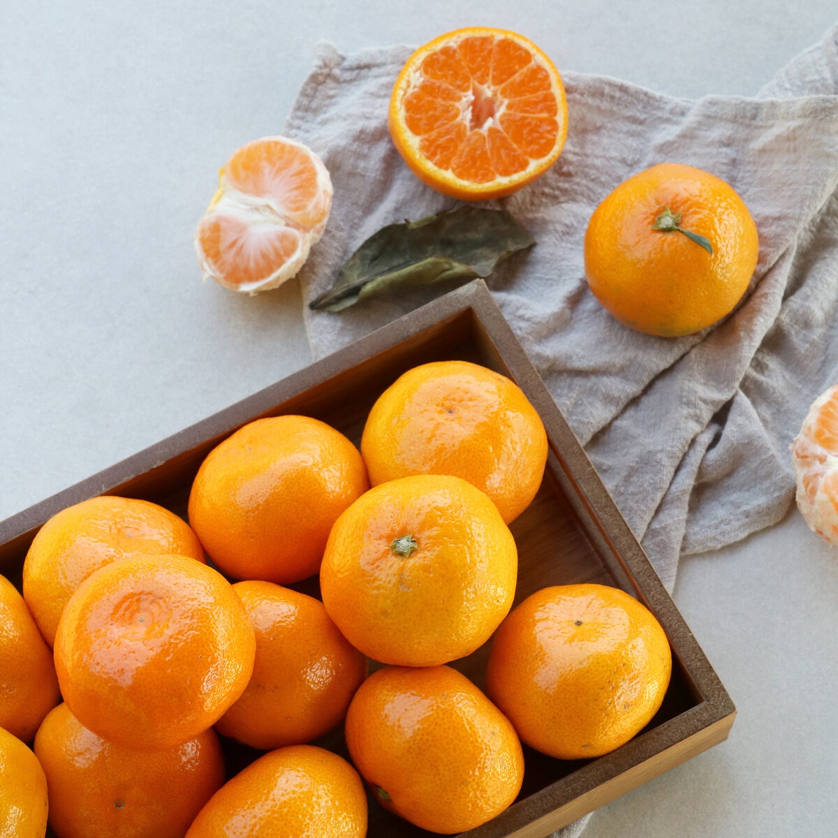 제주 불로초 감귤세트 5kg