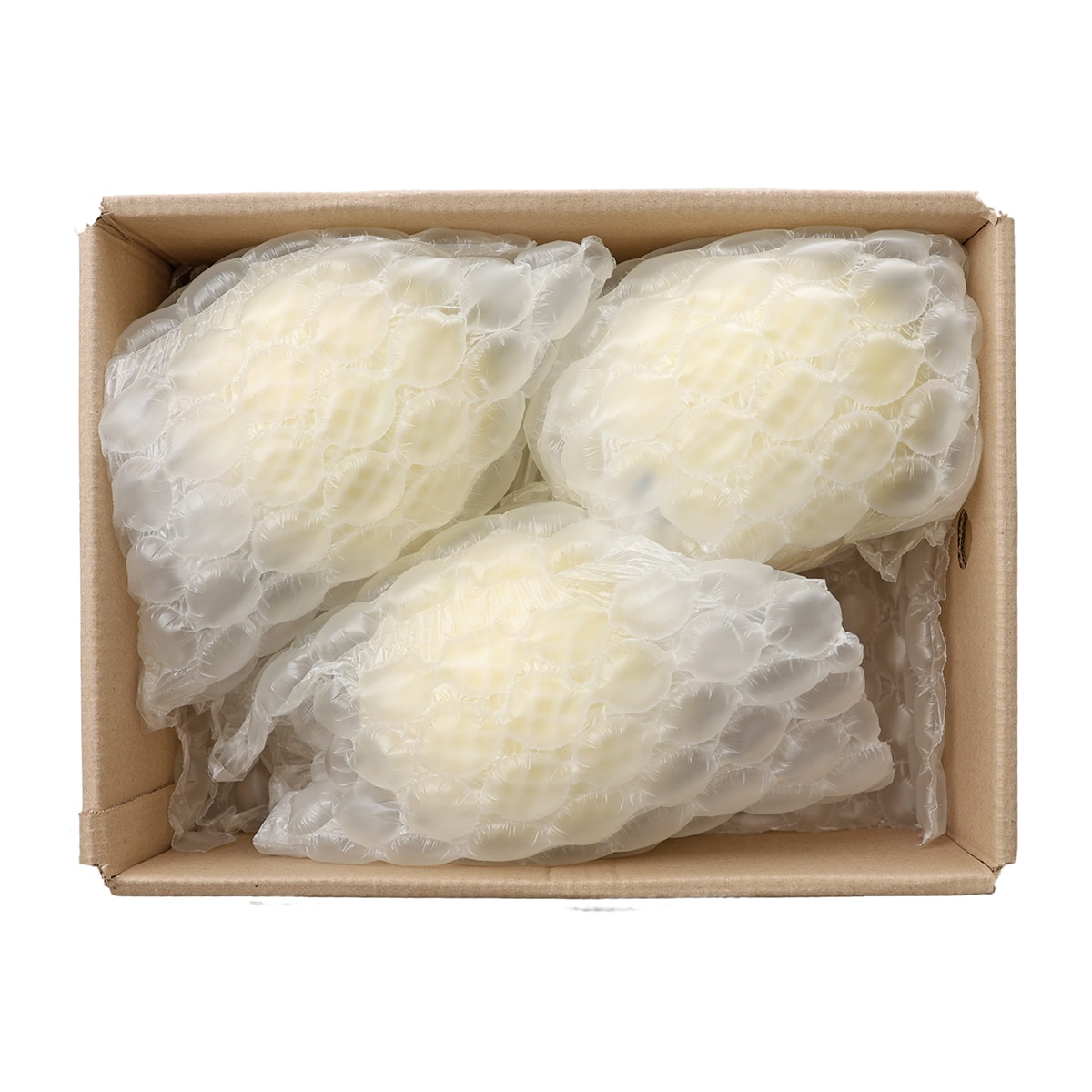 허니듀 멜론 5KG (3입) 허니듀 멜론 5KG (3입)