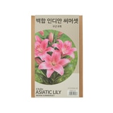 릴리 아시아틱 구근 / 최소구매 2 - 인디안써머셋 릴리 아시아틱 구근 / 최소구매 2 - 인디안써머셋