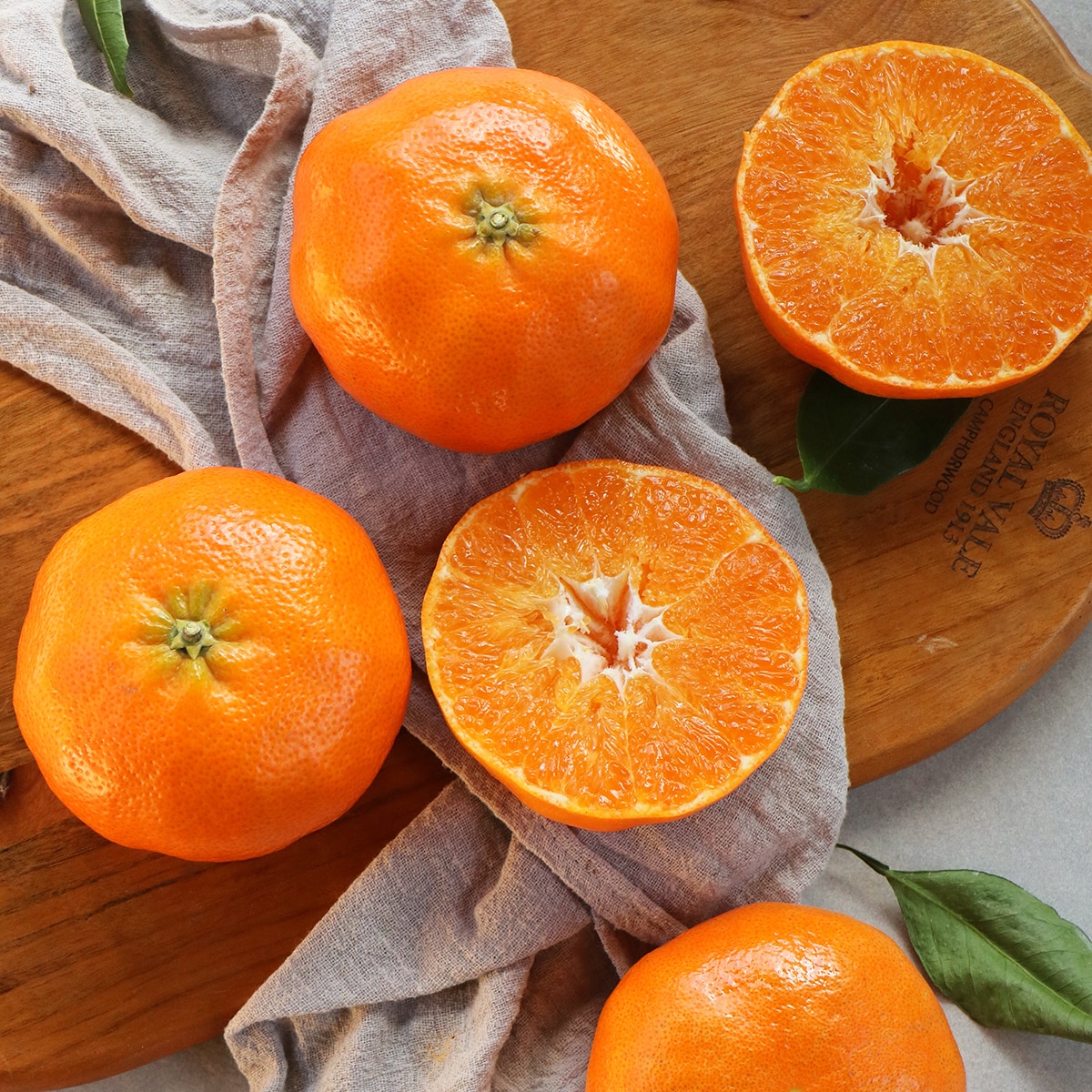 제주 레드향 선물세트 3kg 6~9입