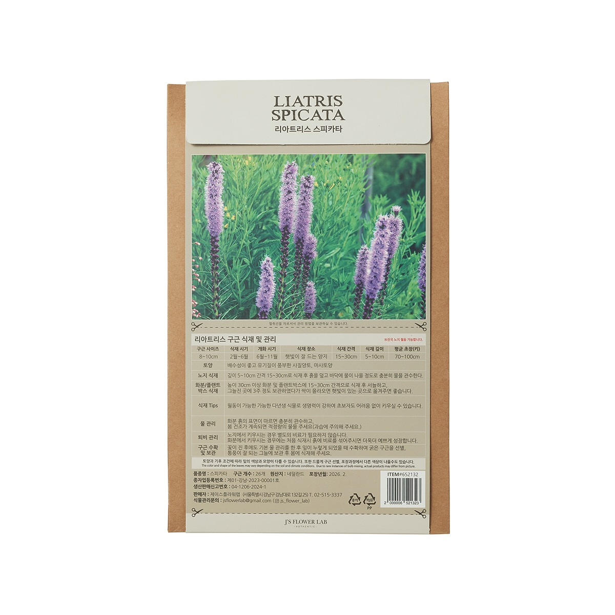 리아트리스 구근 / 최소구매 2 리아트리스 구근 / 최소구매 2