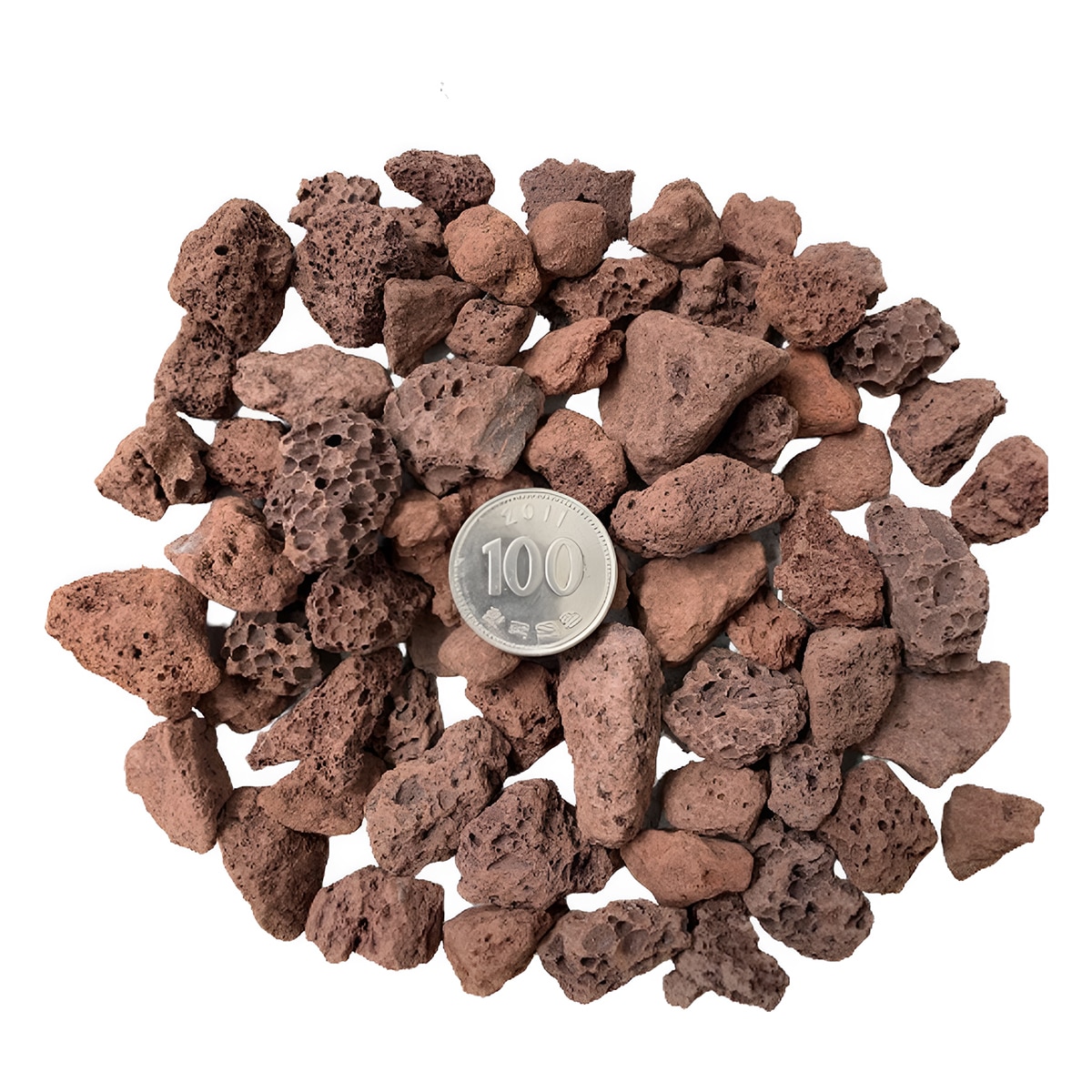화산석 10kg 화산석 10kg