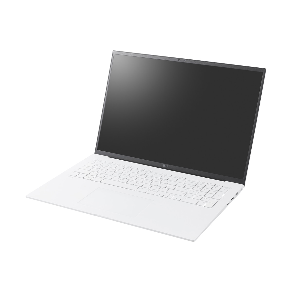 엘지 그램 43.1cm (17/Ultra5/8GB/256GB)
