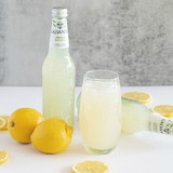 갈바니나 유기농 탄산음료 355ml x 12 - 레몬