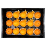 천혜향&한라봉세트5kg