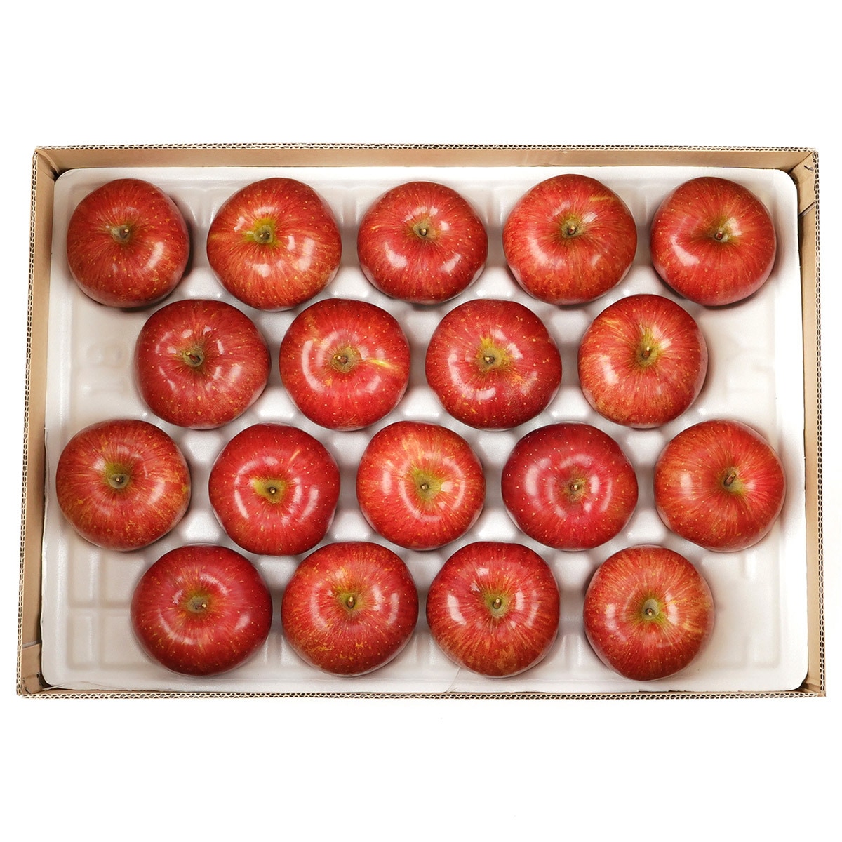 청송사과 5kg