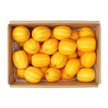 미니 참외 5KG 미니 참외 5KG