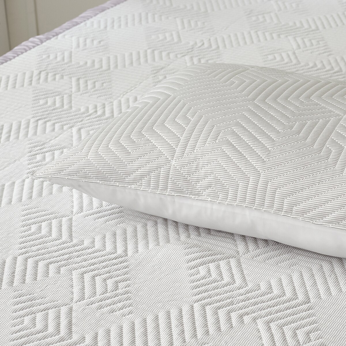 알러텍트 아이스 베개 커버 2P - 그레이