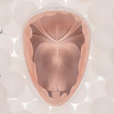 셀리턴 플래티넘 LED 마스크 5 세대 셀리턴 플래티넘 LED 마스크 5 세대