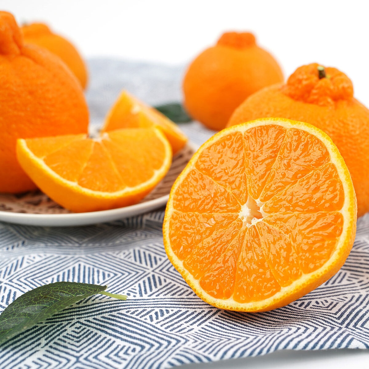 제주 한라봉 5kg 제주 한라봉 5kg