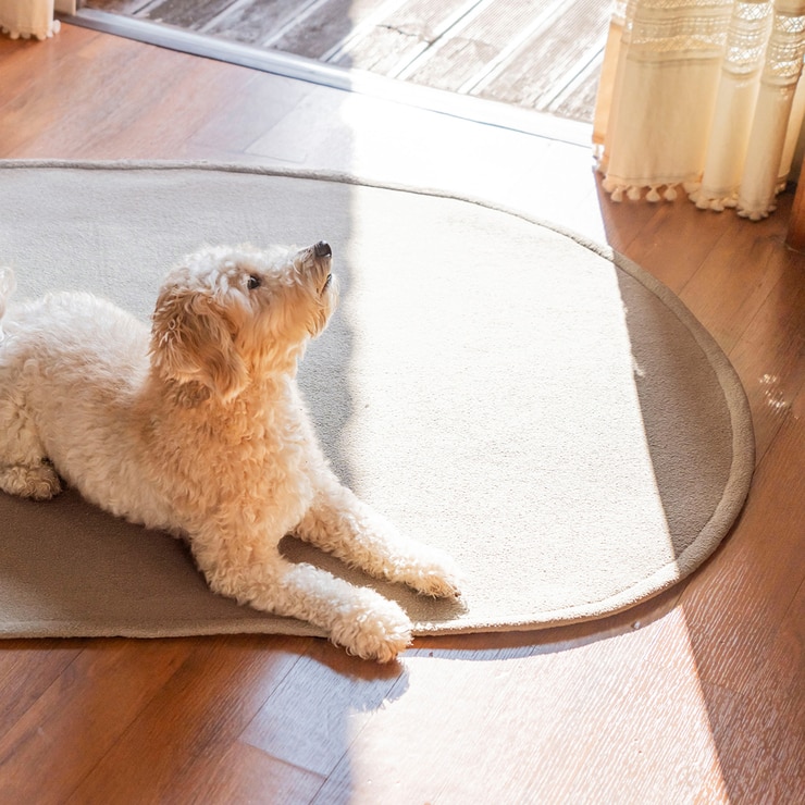 코티홈 시그니처 발수 러그 100x150cm - 그레이