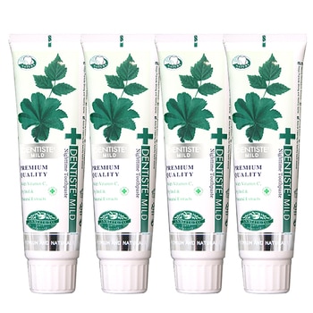 덴티스테 나이트타임 마일드 치약 100g x 4 덴티스테 나이트타임 마일드 치약 100g x 4