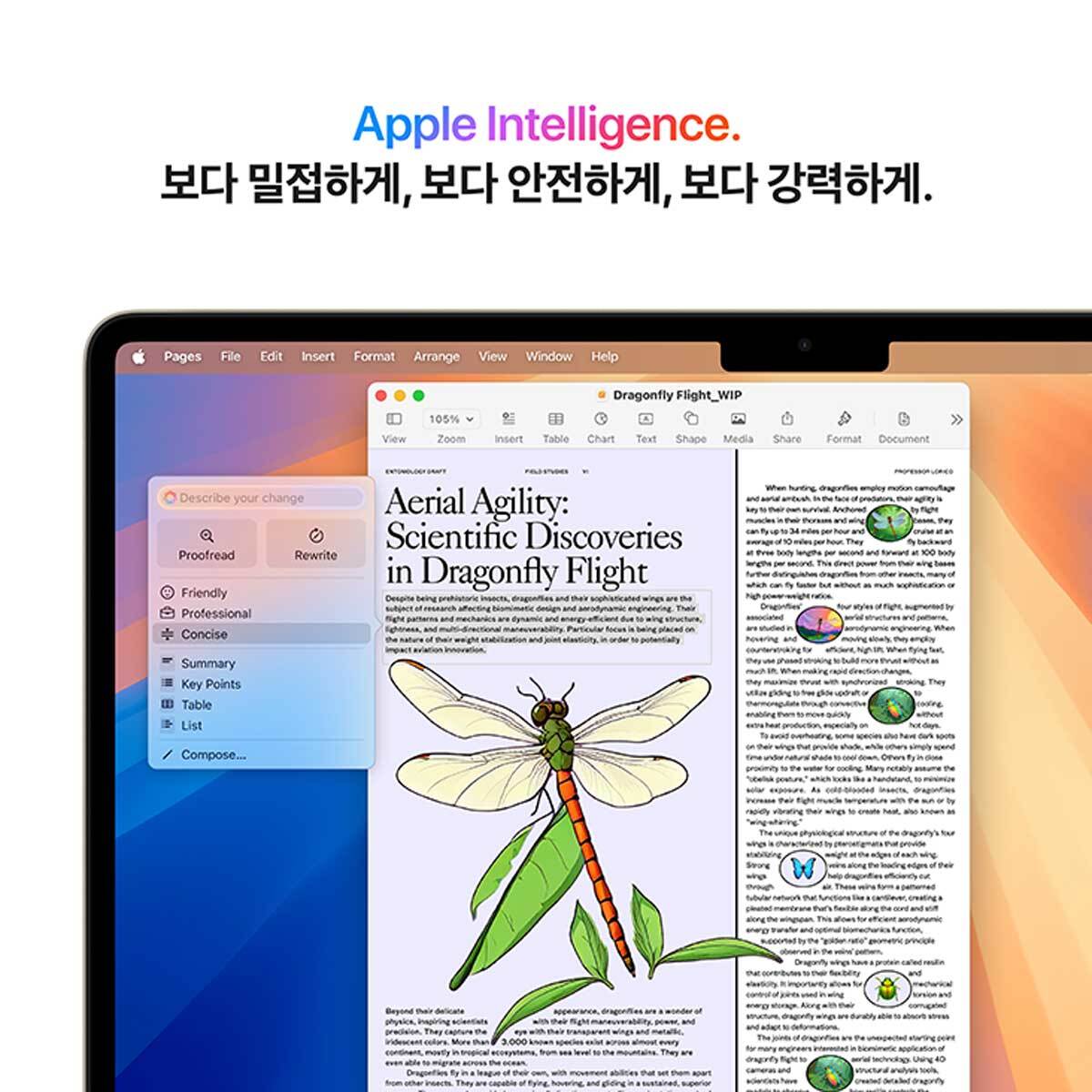 Apple 맥북 에어 13 M4 256GB 스타라이트