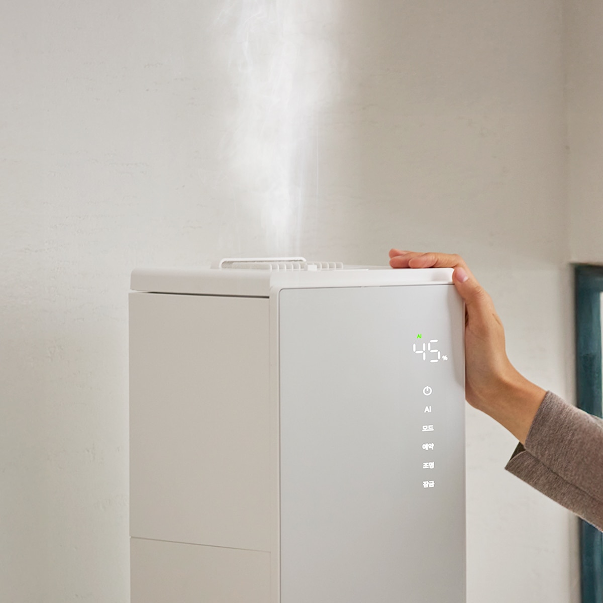 다룸 퓨어 가열식 가습기 6L 다룸 퓨어 가열식 가습기 6L