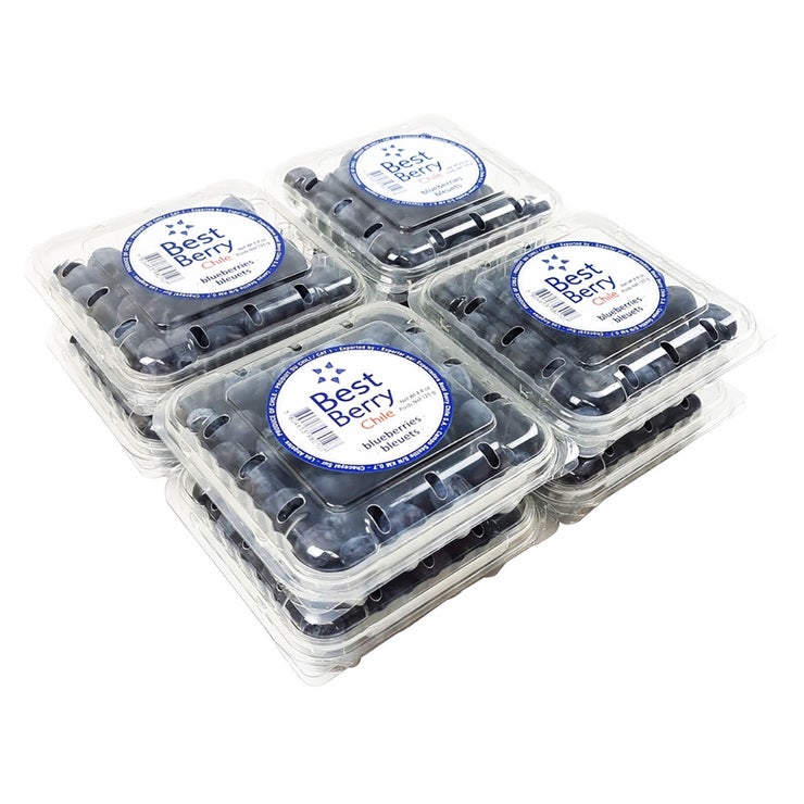 칠레 블루베리 125g x 8팩 칠레 블루베리 125g x 8팩