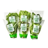 유러피언 쌈채소 5종(440g)