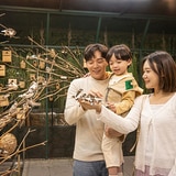 주렁주렁 실내동물원 이용권 (경주점)