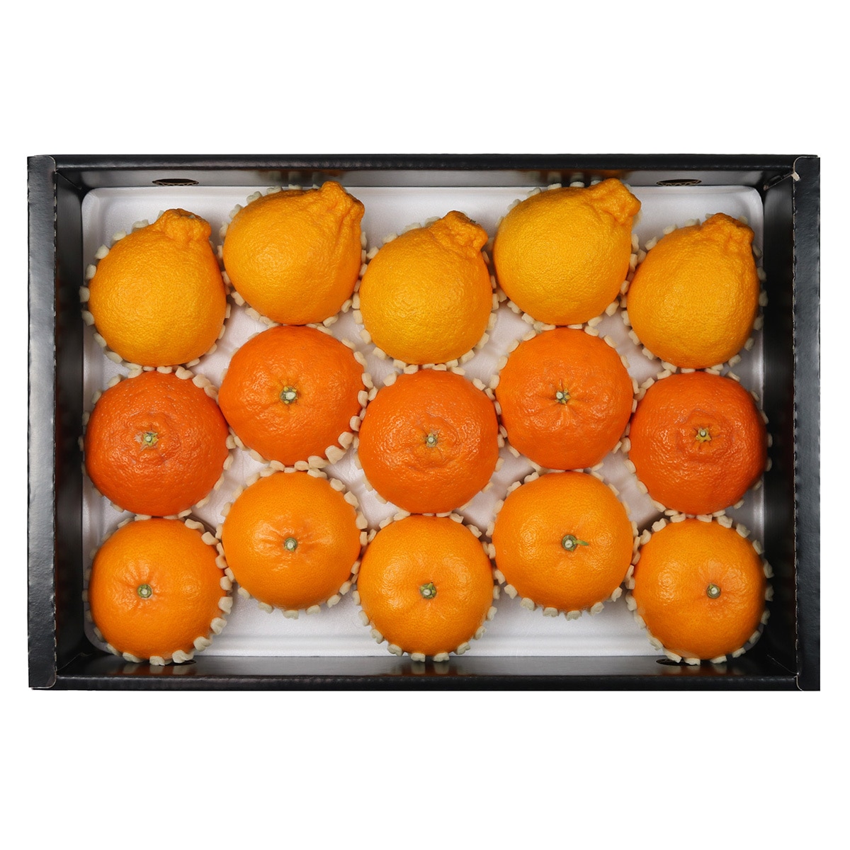 제주 명품 특선 세트5kg (15-18입)