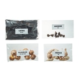 봄믹스 구근 / 최소구매 2