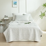 박홍근홈패션 목화 냉감 양면 스프레드 - 싱글