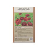 라넌큘러스 구근 / 최소구매 2 - 엘레강스 로쏘 라넌큘러스 구근 / 최소구매 2 - 엘레강스 로쏘