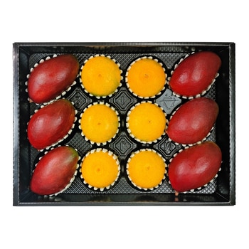 황금향&애플망고세트4.5kg 황금향&애플망고세트4.5kg