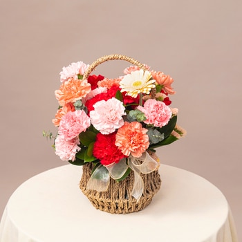 [서울/경기배송] 카네이션 바구니