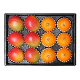 천혜향& 애플망고세트4.5kg (12입)